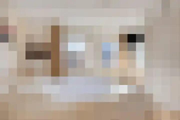 Smidse 145 Schaijk thumbnail 25