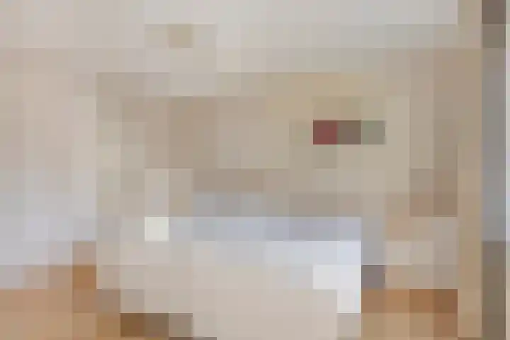 Smidse 145 Schaijk thumbnail 26