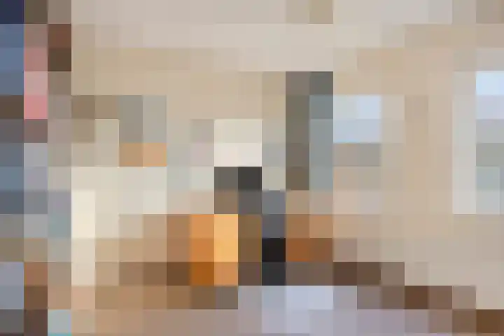 Smidse 145 Schaijk thumbnail 33
