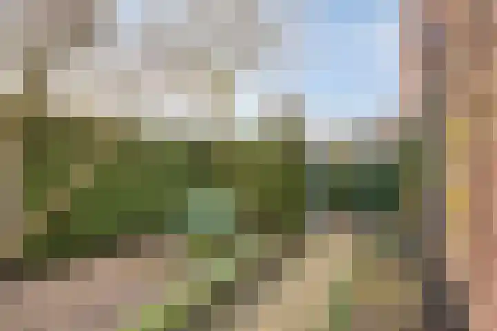 Smidse 145 Schaijk thumbnail 42