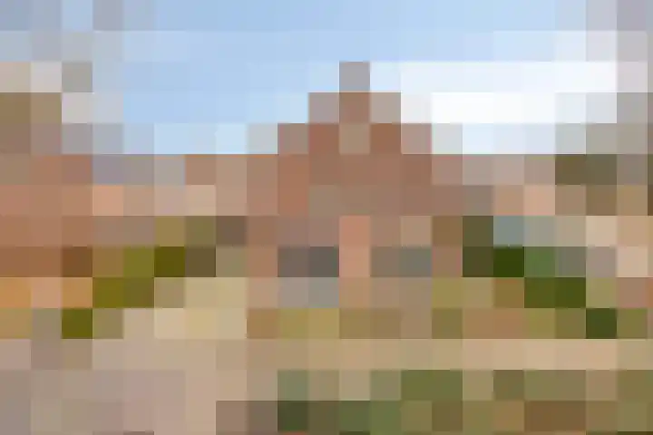 Smidse 145 Schaijk thumbnail 48