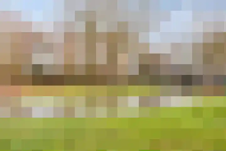 Smidse 145 Schaijk thumbnail 50