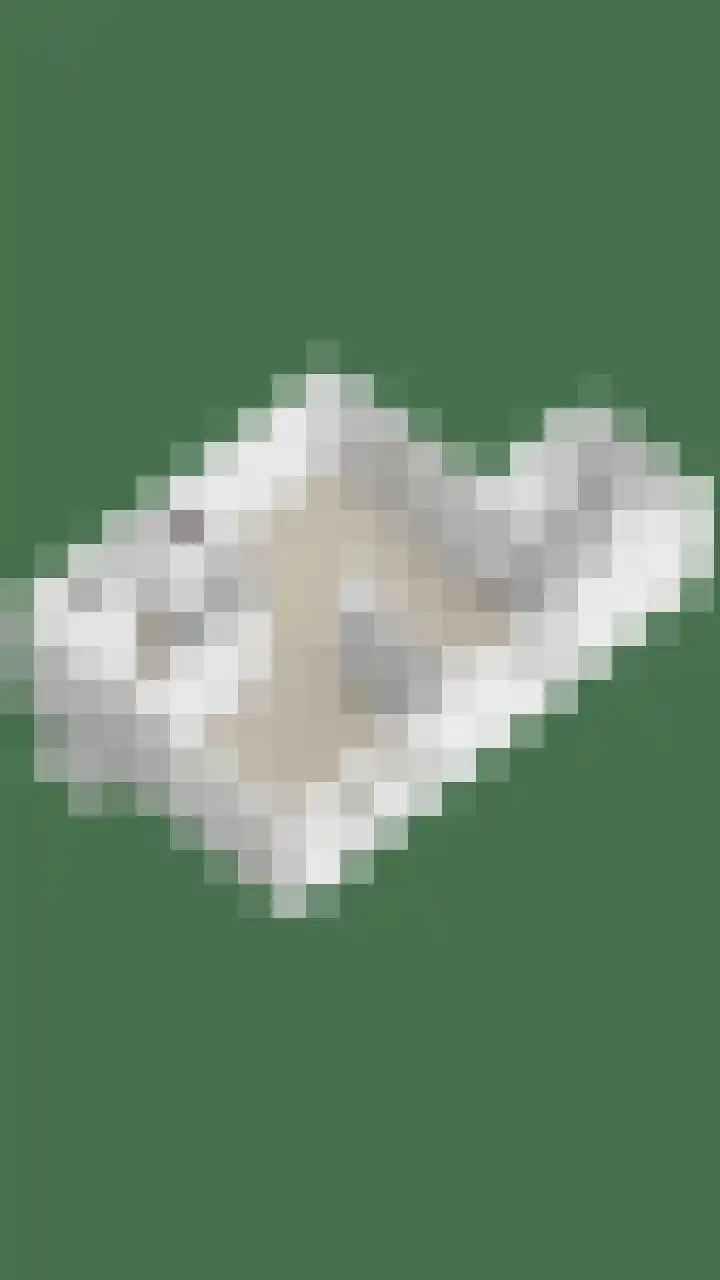 Smidse 145 Schaijk thumbnail 58