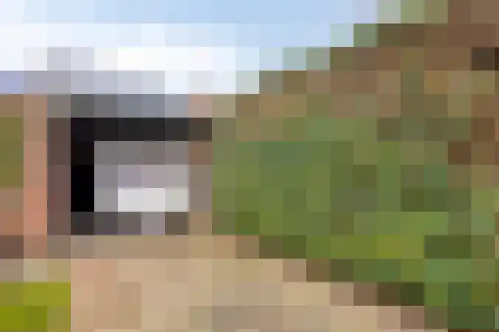 Smidse 145 Schaijk thumbnail 6