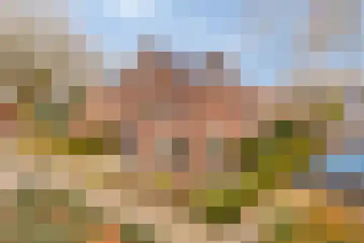 Smidse 145 Schaijk thumbnail 7