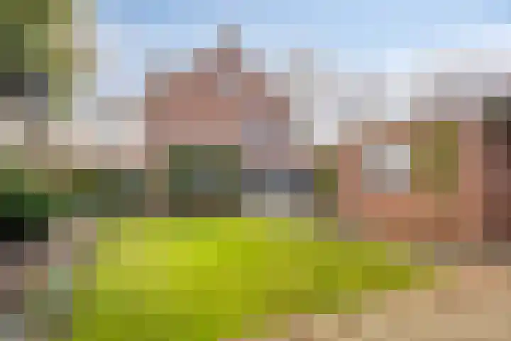 Smidse 145 Schaijk thumbnail 8