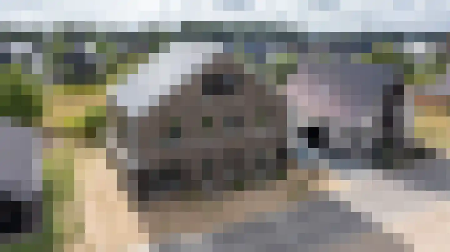 Smidse 15 Wehl