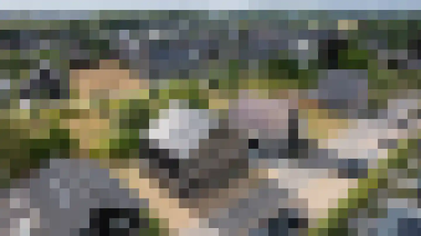 Smidse 15 Wehl thumbnail 42