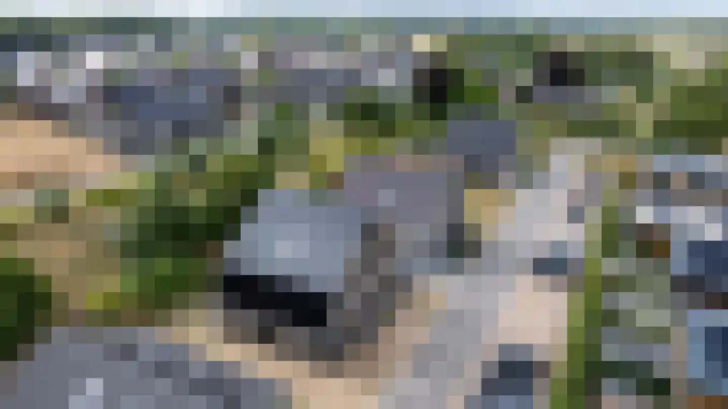 Smidse 15 Wehl thumbnail 43