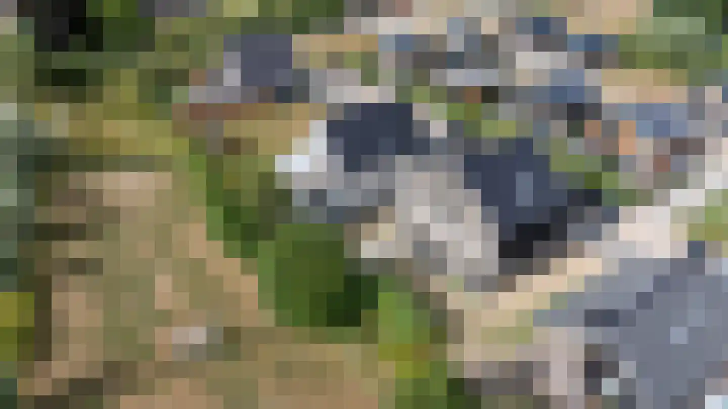 Smidse 15 Wehl thumbnail 45