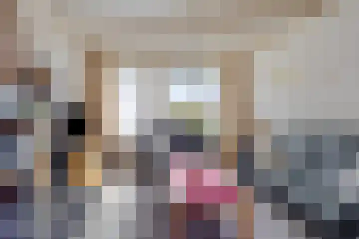 Smidse 16 Schaijk thumbnail 11