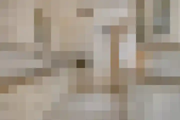 Smidse 16 Schaijk thumbnail 14