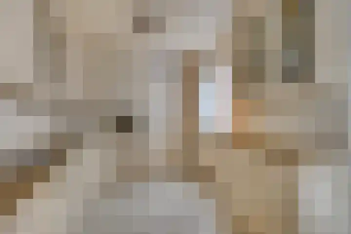 Smidse 16 Schaijk thumbnail 15