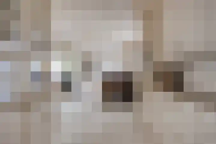 Smidse 16 Schaijk thumbnail 17