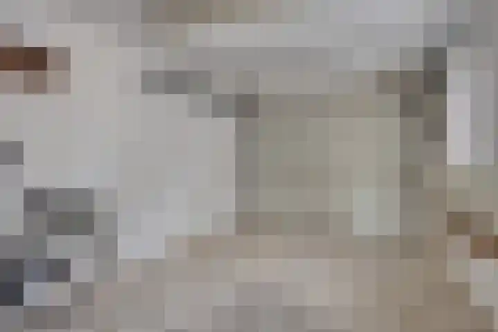 Smidse 16 Schaijk thumbnail 25
