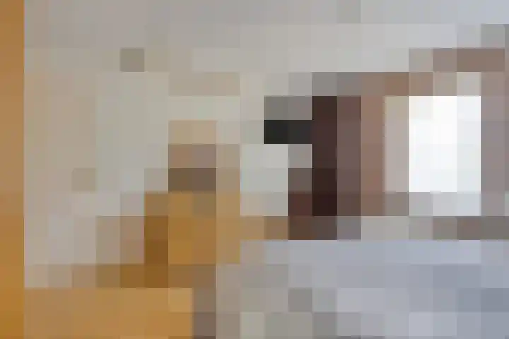 Smidse 16 Schaijk thumbnail 31