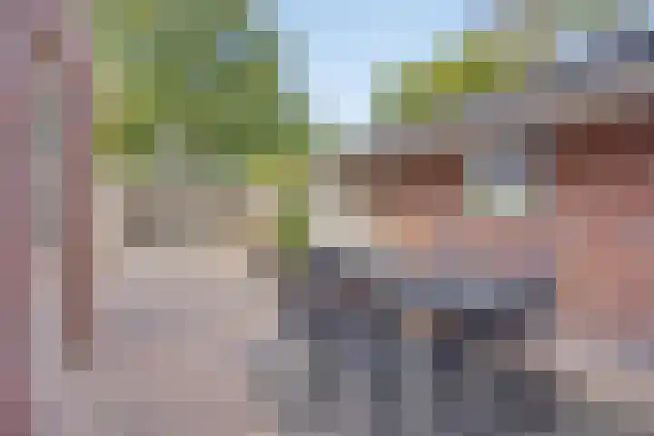 Smidse 16 Schaijk thumbnail 46