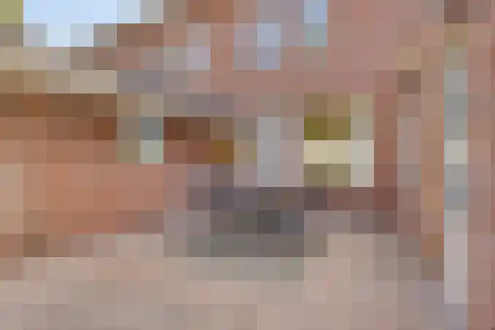 Smidse 16 Schaijk thumbnail 47