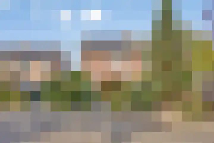 Smidse 16 Schaijk thumbnail 51
