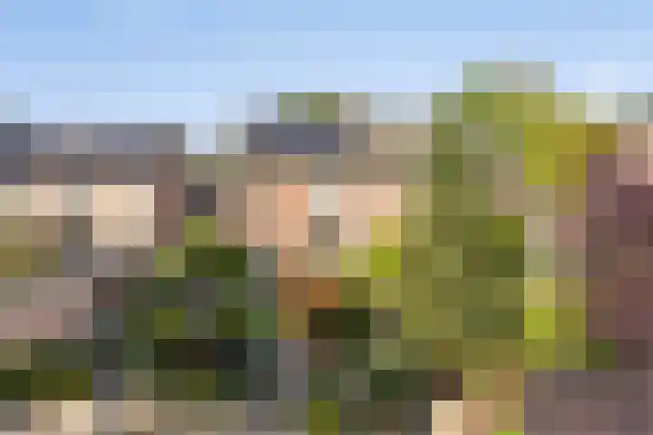 Smidse 16 Schaijk thumbnail 52
