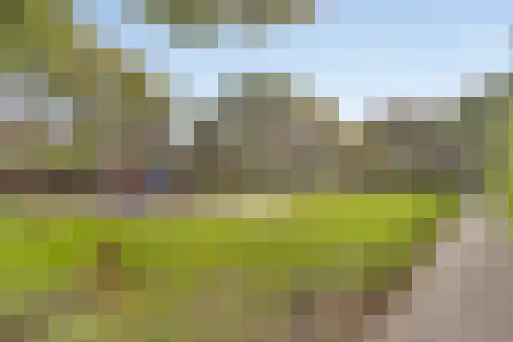 Smidse 16 Schaijk thumbnail 54