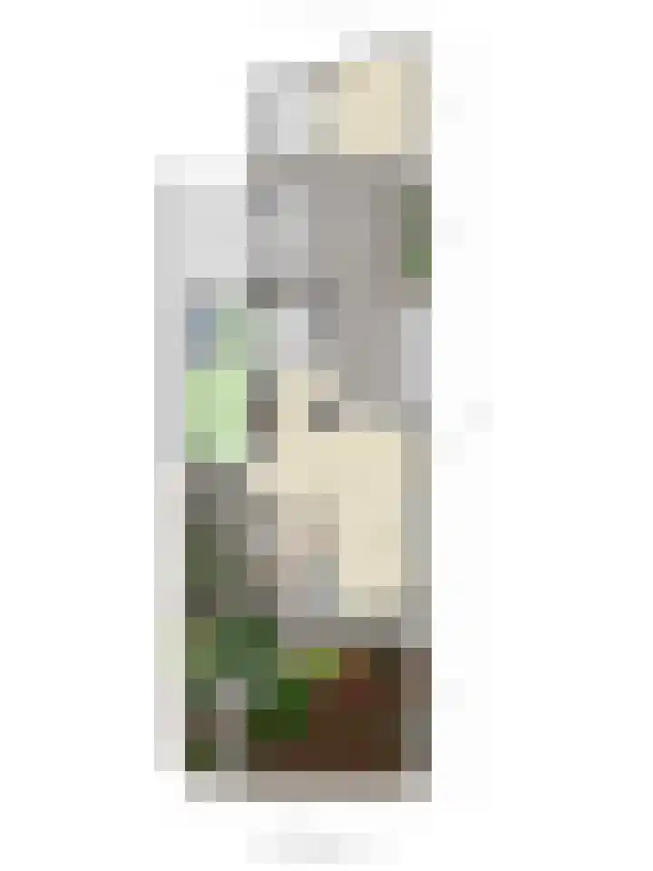 Smidse 16 Schaijk thumbnail 55