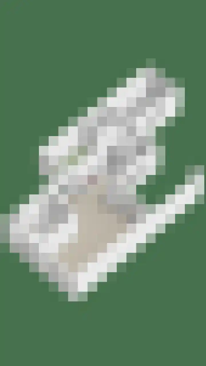Smidse 16 Schaijk thumbnail 58