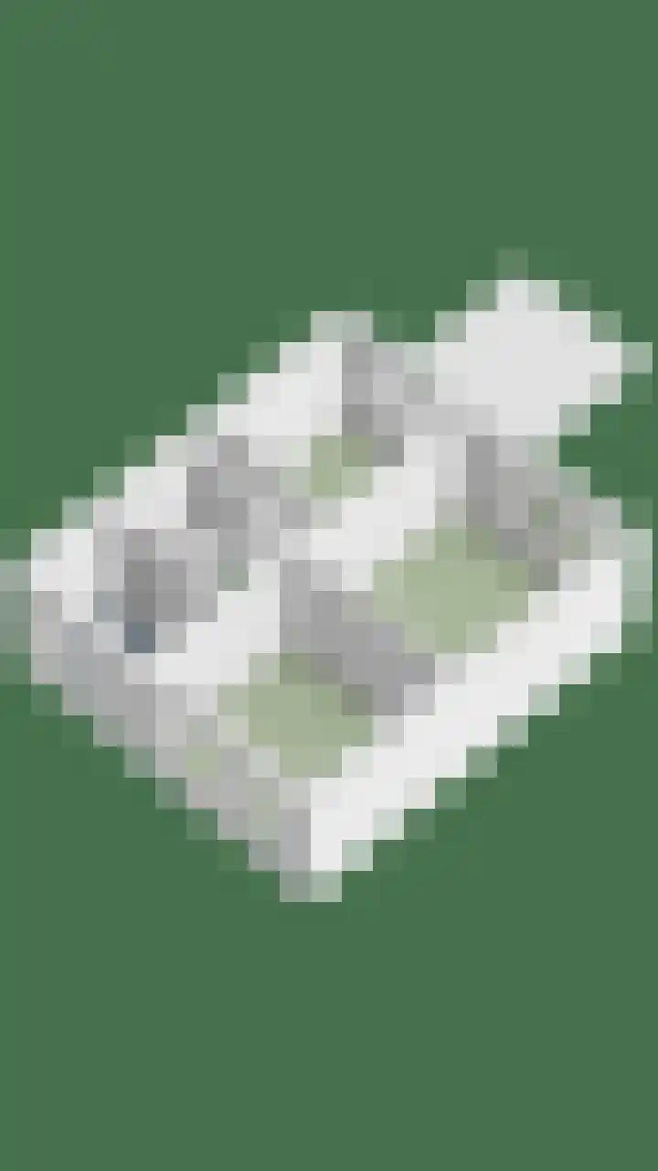 Smidse 16 Schaijk thumbnail 60