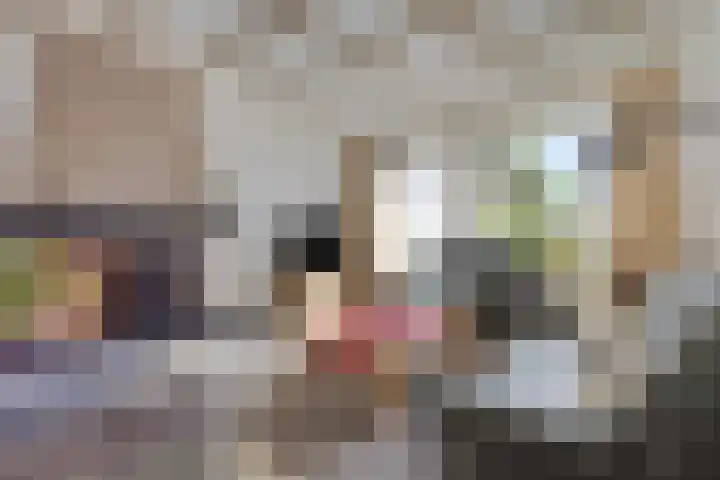 Smidse 16 Schaijk thumbnail 9