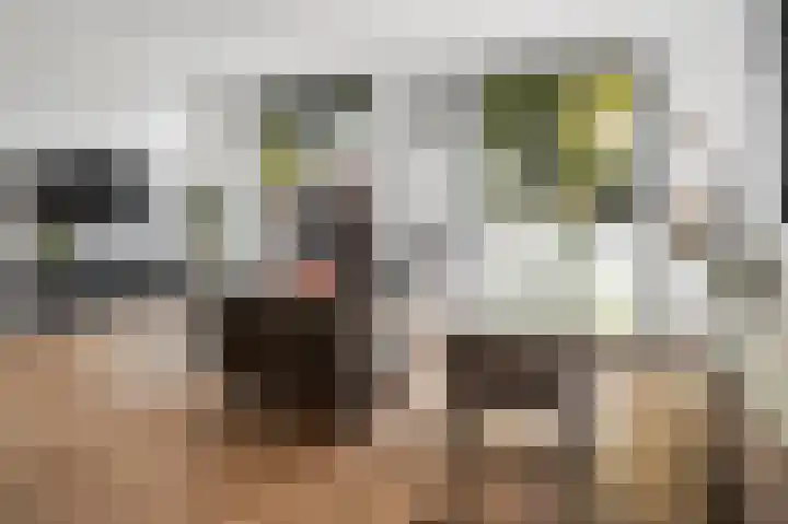 Smidse 26 B Geffen thumbnail 10