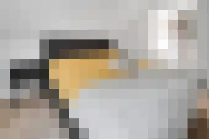 Smidse 26 B Geffen thumbnail 30