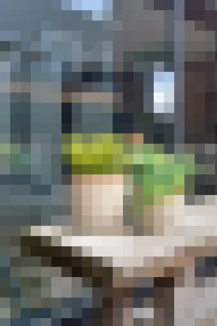 Smidse 26 B Geffen thumbnail 42