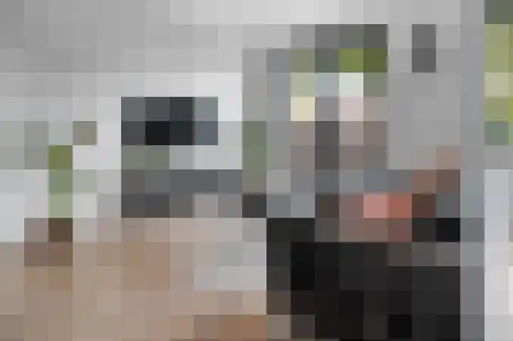 Smidse 26 B Geffen thumbnail 7