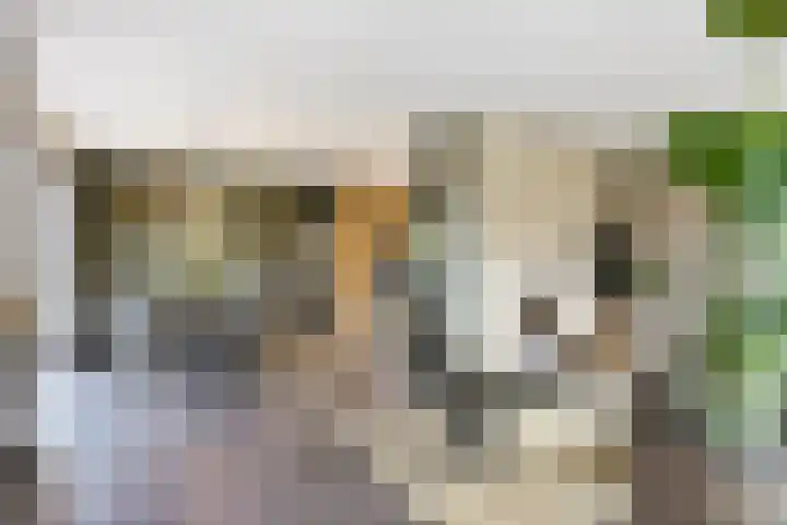 Smidse 36 Schaijk thumbnail 12