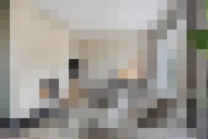 Smidse 36 Schaijk thumbnail 13