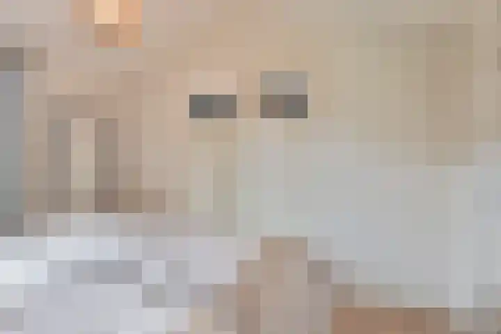 Smidse 36 Schaijk thumbnail 23