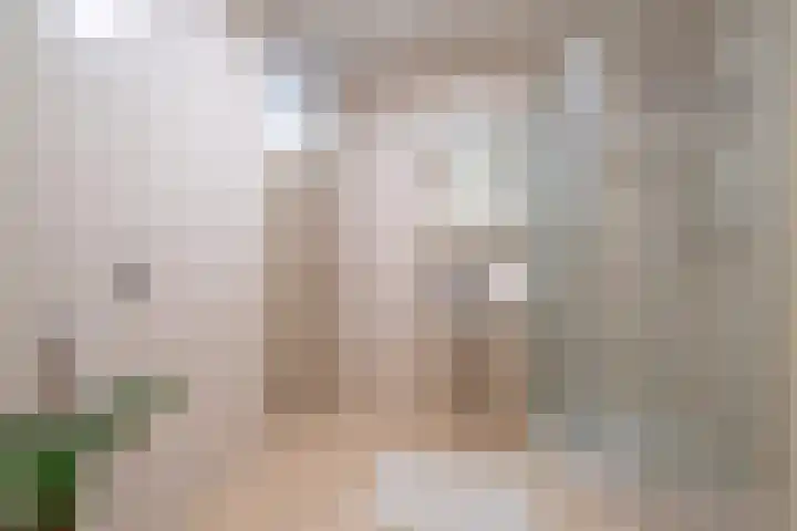 Smidse 36 Schaijk thumbnail 24