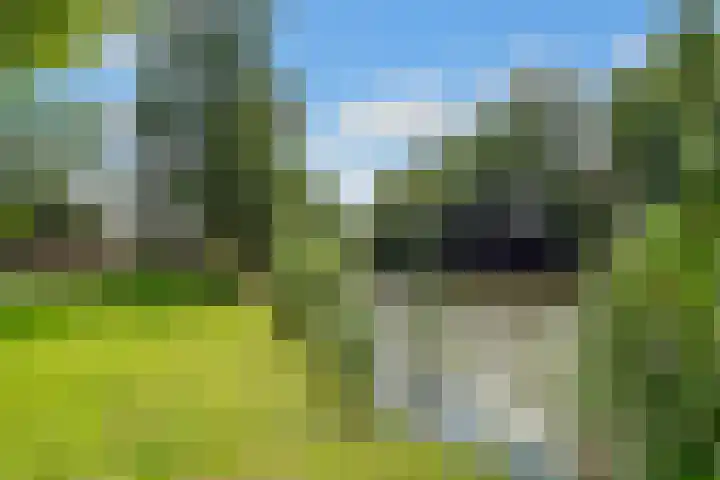 Smidse 36 Schaijk thumbnail 29