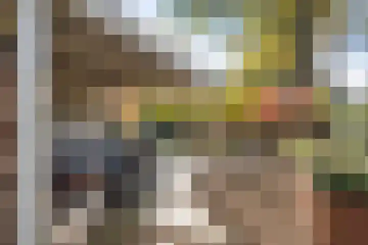 Smidse 36 Schaijk thumbnail 34