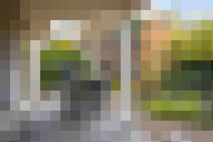 Smidse 36 Schaijk thumbnail 35