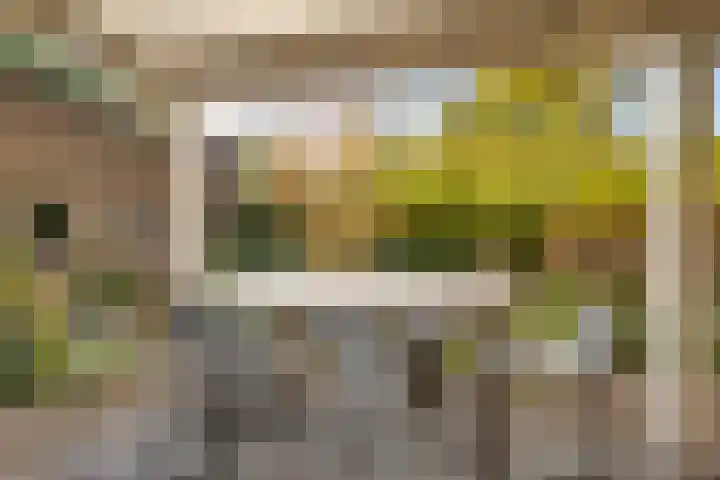 Smidse 36 Schaijk thumbnail 36
