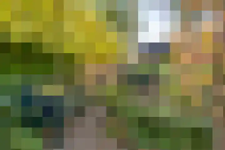 Smidse 36 Schaijk thumbnail 38