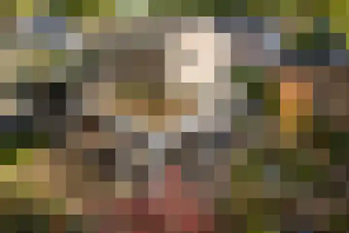 Smidse 36 Schaijk thumbnail 41
