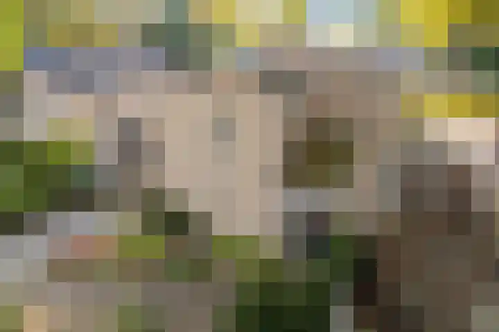 Smidse 36 Schaijk thumbnail 46