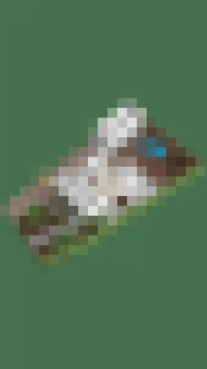 Smidse 36 Schaijk thumbnail 49