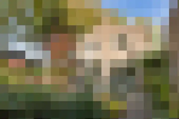 Smidse 36 Schaijk thumbnail 5