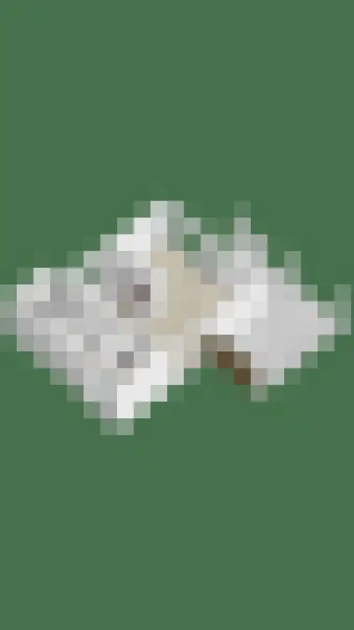 Smidse 36 Schaijk thumbnail 51