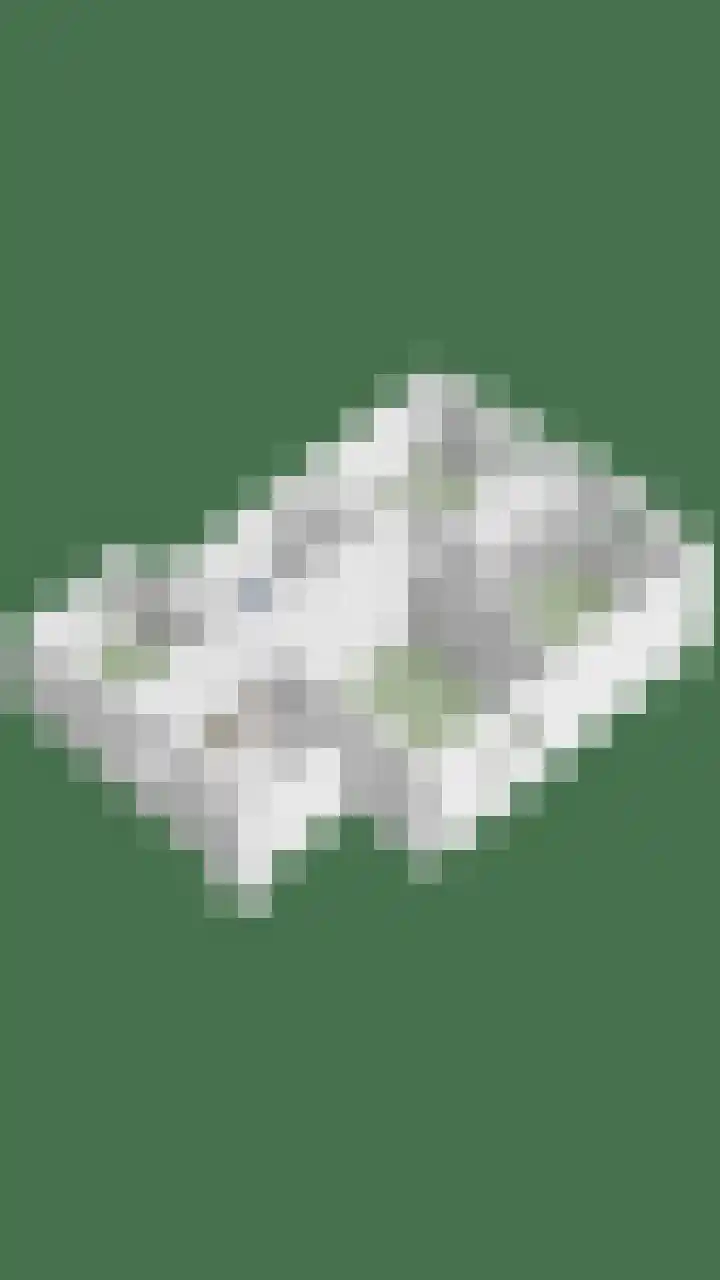 Smidse 36 Schaijk thumbnail 53