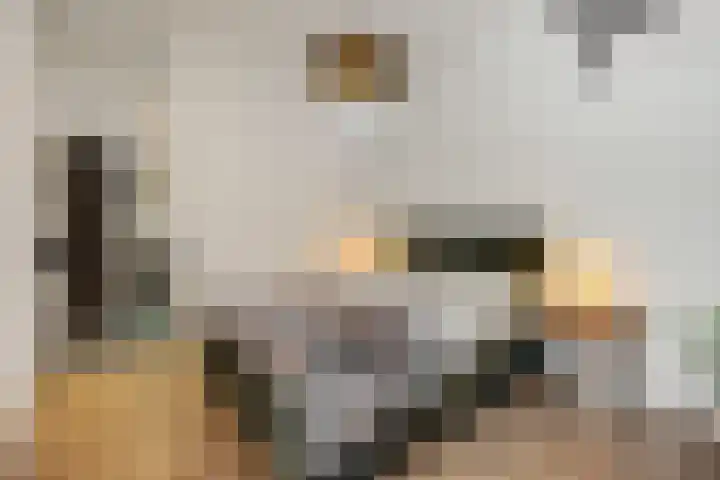 Smidse 8 Geffen thumbnail 14