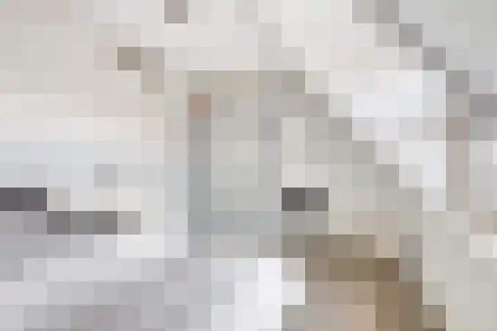 Smidse 9 Geffen thumbnail 26